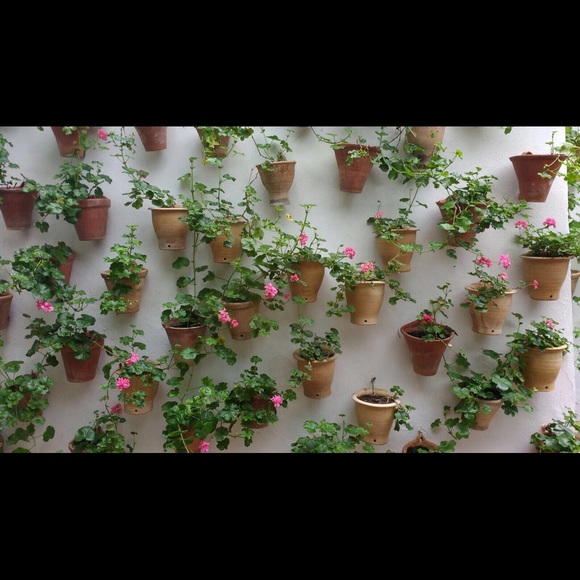 Meet your Posher, I π - Picture 1 of 1